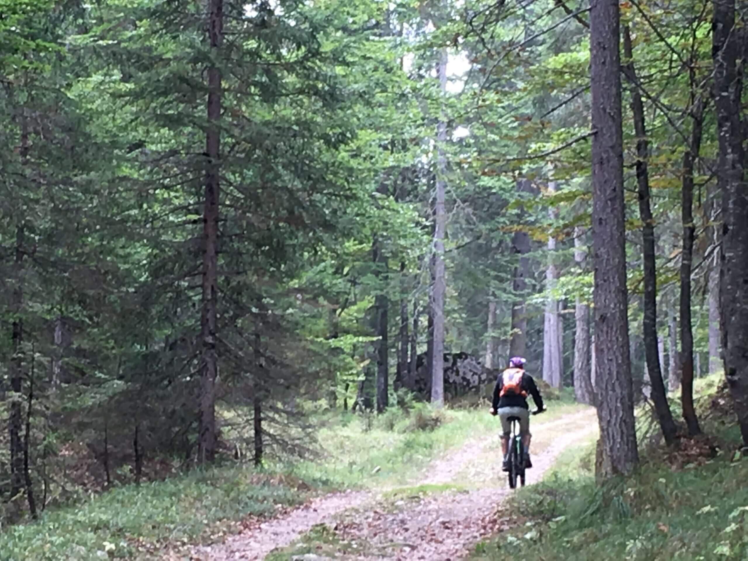 noleggio bike ebike mtb kite ferrata